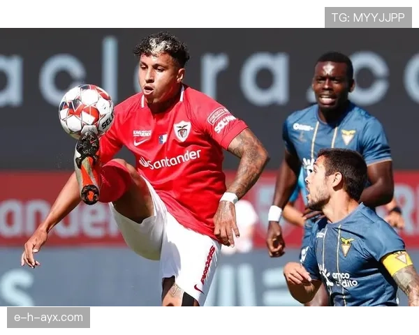 足球杯赛即将揭幕，各队状态回暖，精彩对决一触即发