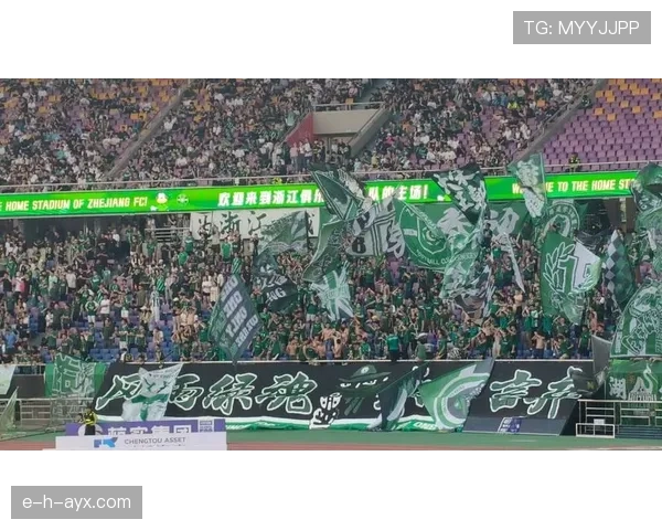 中超赛季入场券销量创历史新高，球迷热情高涨引关注