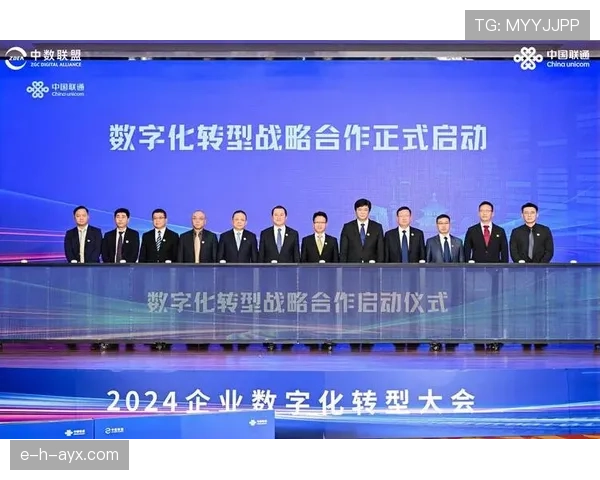 布鲁诺稳健引领企业数字化转型，驱动创新发展新趋势