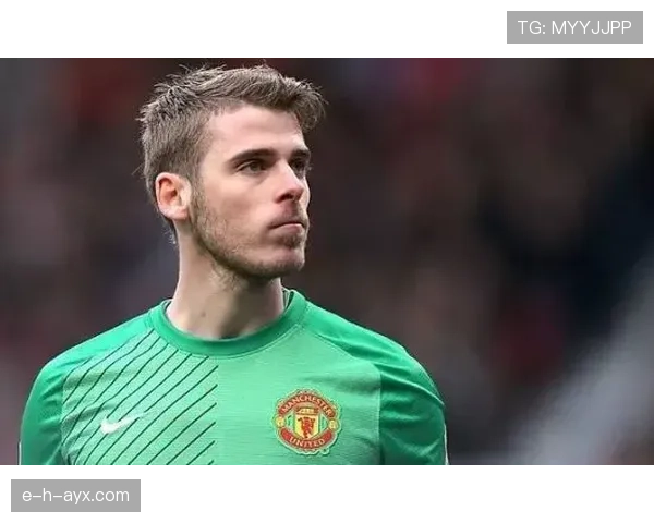 罗德里戈的上限体现在哪些具体维度